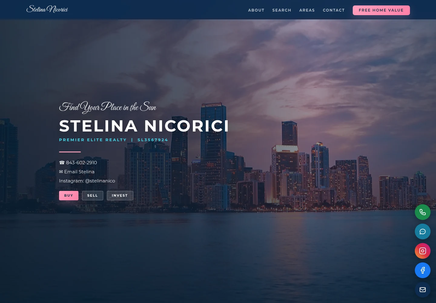 Stelina Nicorici website preview