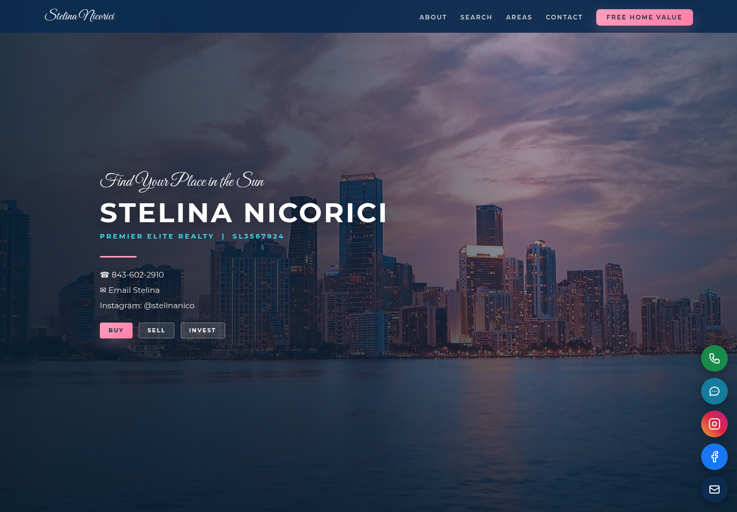 Stelina Nicorici website preview