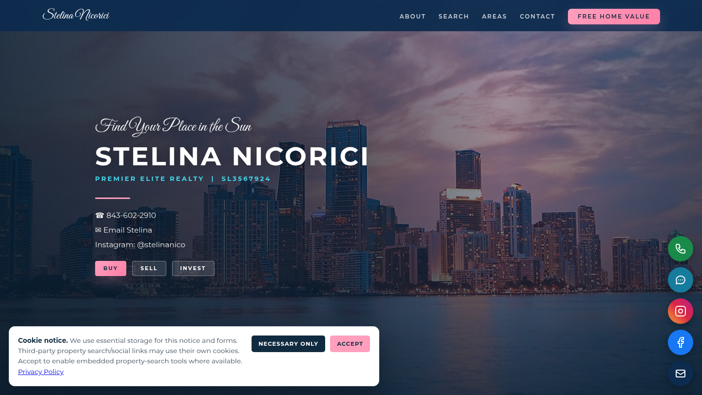 Stelina Nicorici website preview